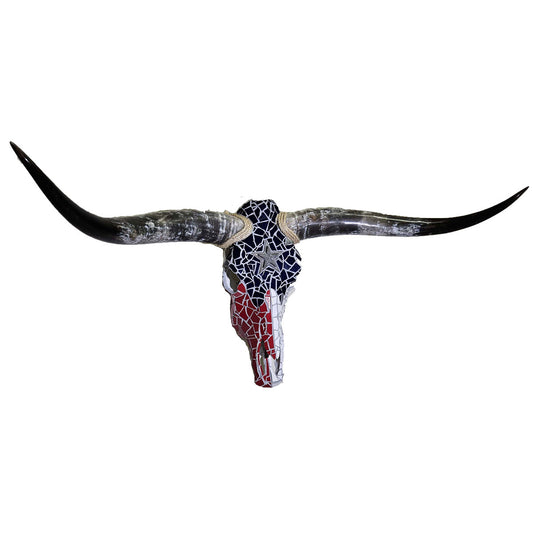 Authentic Black Longhorn Skull with Metal Star