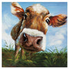 Hello Canvas Print