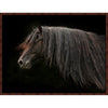 Dark Horse Framed Canvas