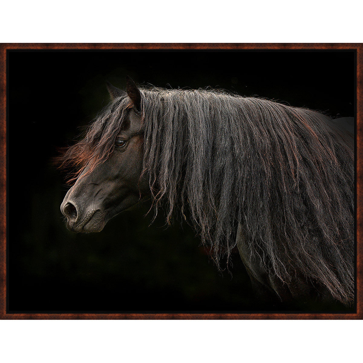 Dark Horse Framed Canvas