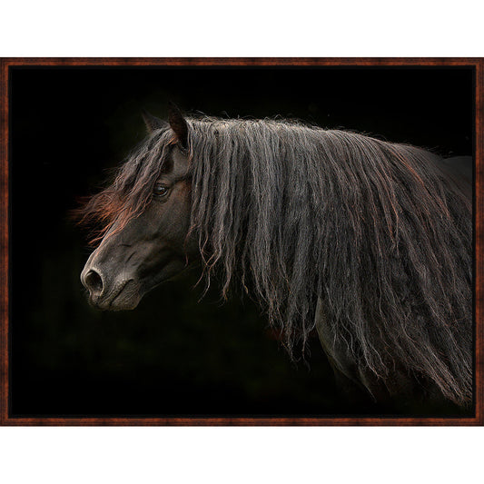 Dark Horse Framed Canvas