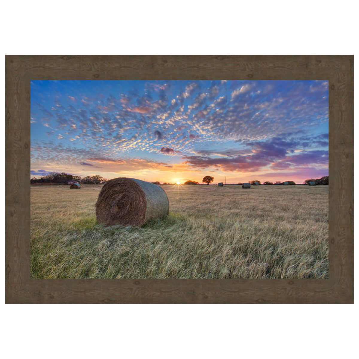 Tallgrass Serenity Wall Art