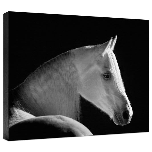 White Shadow Gallery Wrapped Canvas