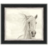 Wind Blown Mane I Framed Print