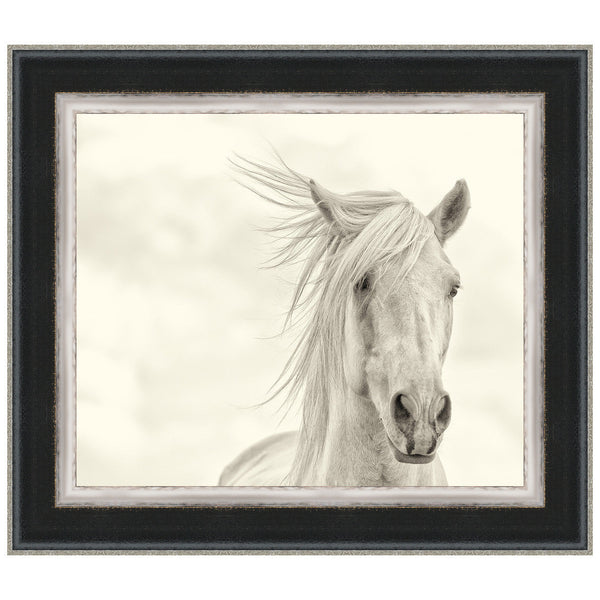 Wind Blown Mane I Framed Print