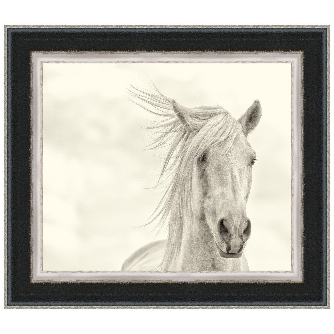 Wind Blown Mane I Framed Print