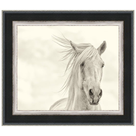 Wind Blown Mane I Framed Print