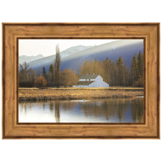Montana Barn Framed Print