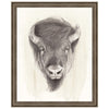 American Wilderness II Framed Print