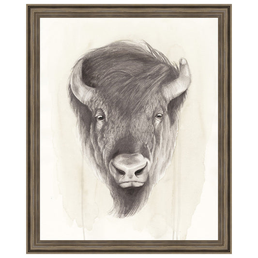 American Wilderness II Framed Print