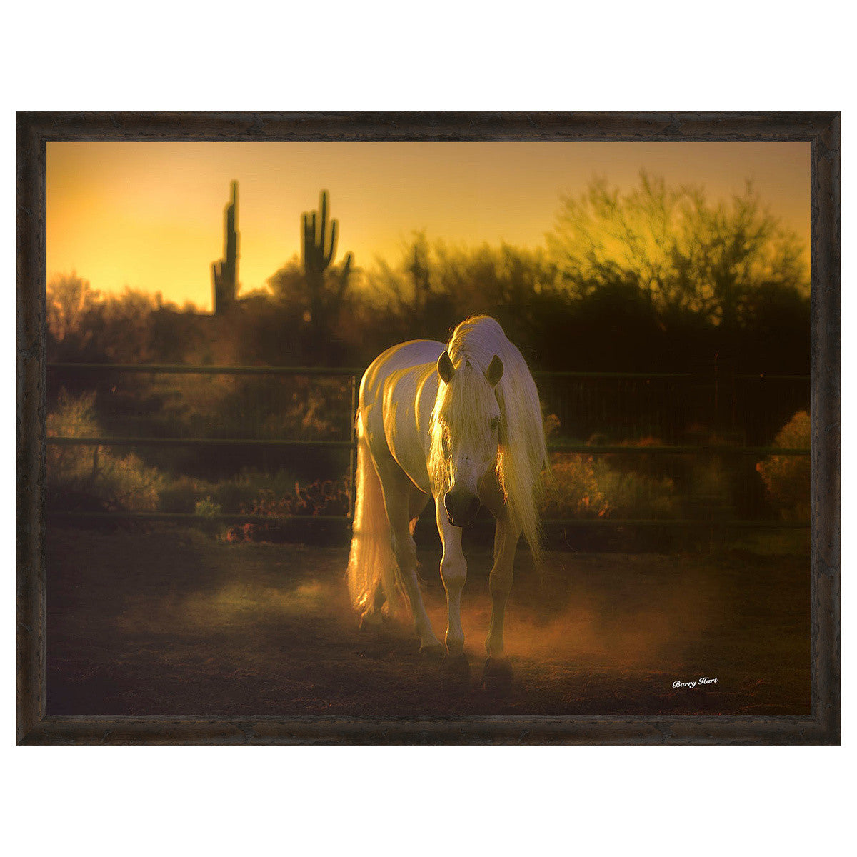 Stallion in the Garden Framed Canvas