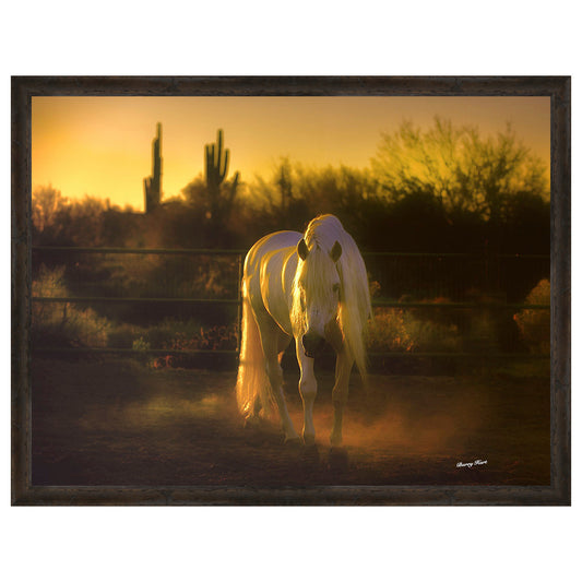Stallion in the Garden Framed Canvas