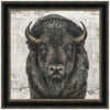 Gazing Bison Canvas Art