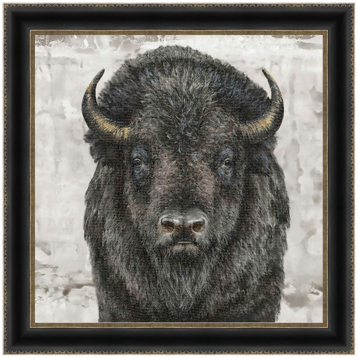 Gazing Bison Canvas Art