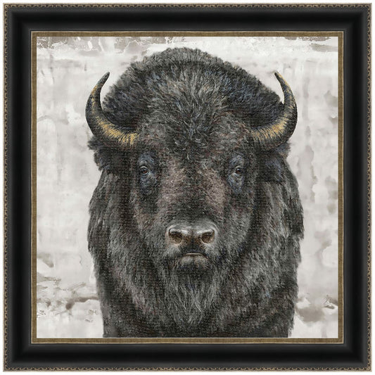 Gazing Bison Canvas Art