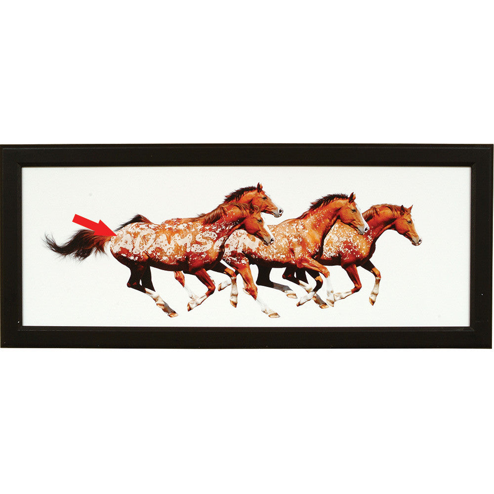 Personalized Free in Spirit Horse Framed Canvas