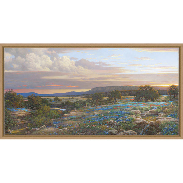 Love of the Landscape Framed Canvas