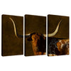 Longhorn Legacy Triptych Wall Art - Set of 3
