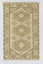 Cactus Hues Western Rug - 4 x 6