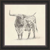 Longhorn Sketch II Wall Art