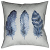 Feather River I Indoor Pillow