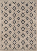 Desert Harmony Rug - 6 x 9