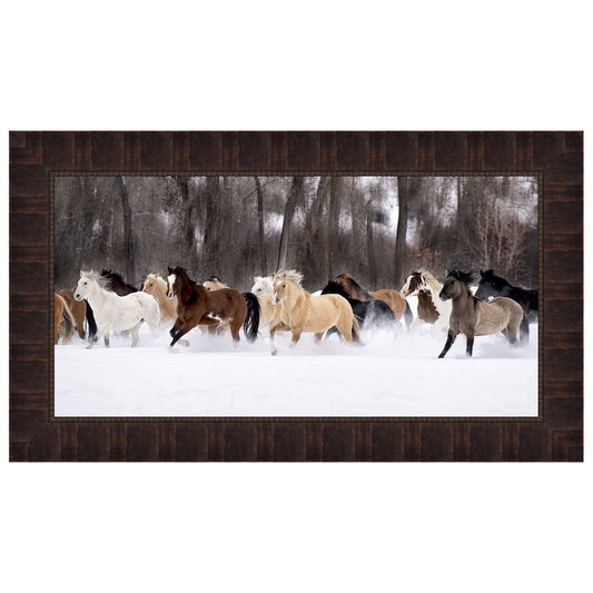 Snow Run II Framed Print