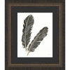 Feathers II Framed Print