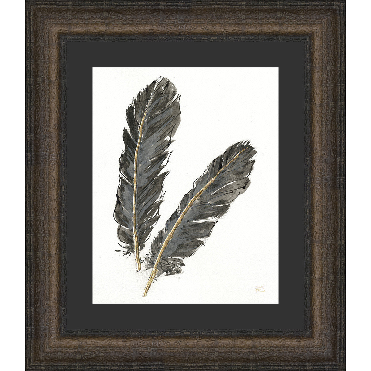 Feathers II Framed Print
