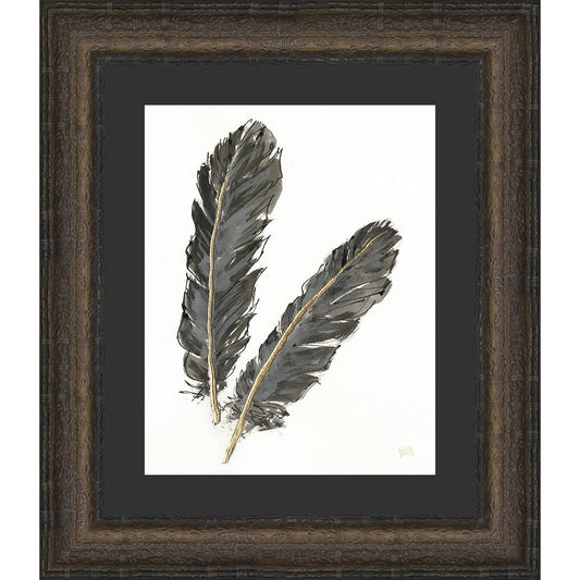 Feathers II Framed Print