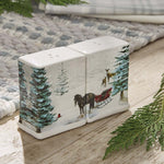 Winter Sleigh Salt & Pepper Set