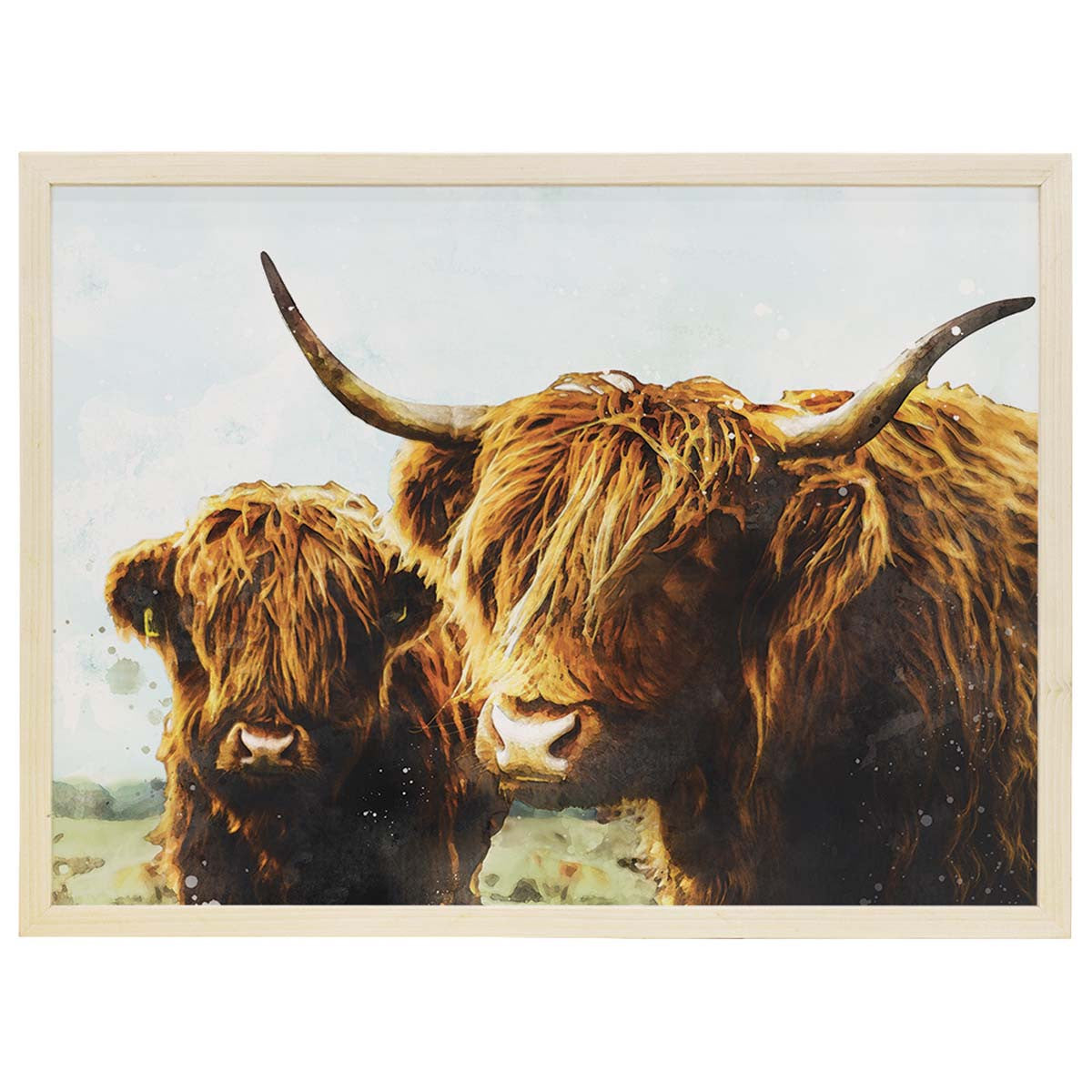 Highland Cattle Wall Art