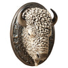 White Buffalo Head Mount