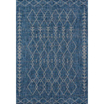 Blue Mexican Indoor/Outdoor Rug - 4 x 6