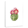 Summertime Bloom I Wrapped Canvas