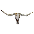 Authentic Longhorn Skull with Cowhide & Copper Glass