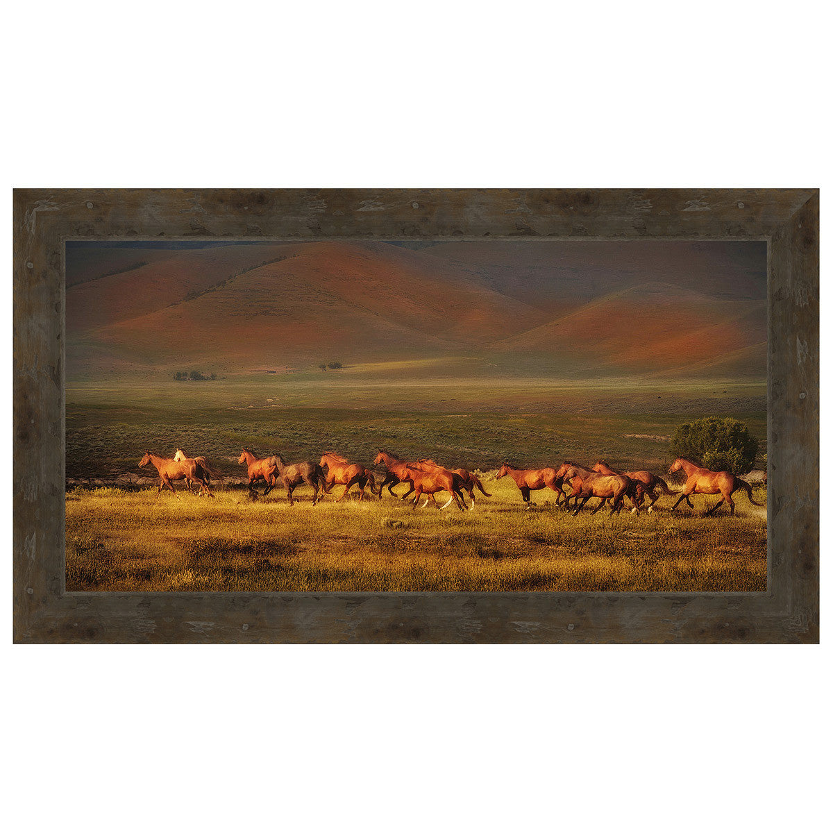 Montana Dreaming Framed Canvas