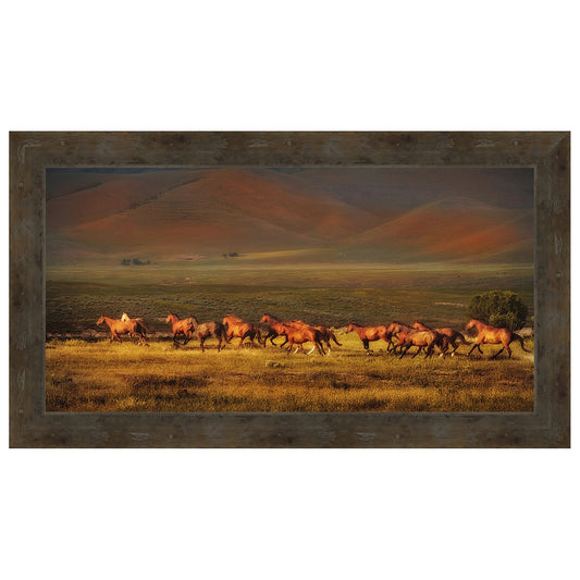 Montana Dreaming Framed Canvas