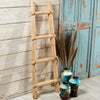 Kiva Ladder - 3 Ft.