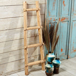 Kiva Ladder - 3 Ft.