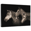 Three Ponies Gallery Wrapped Canvas