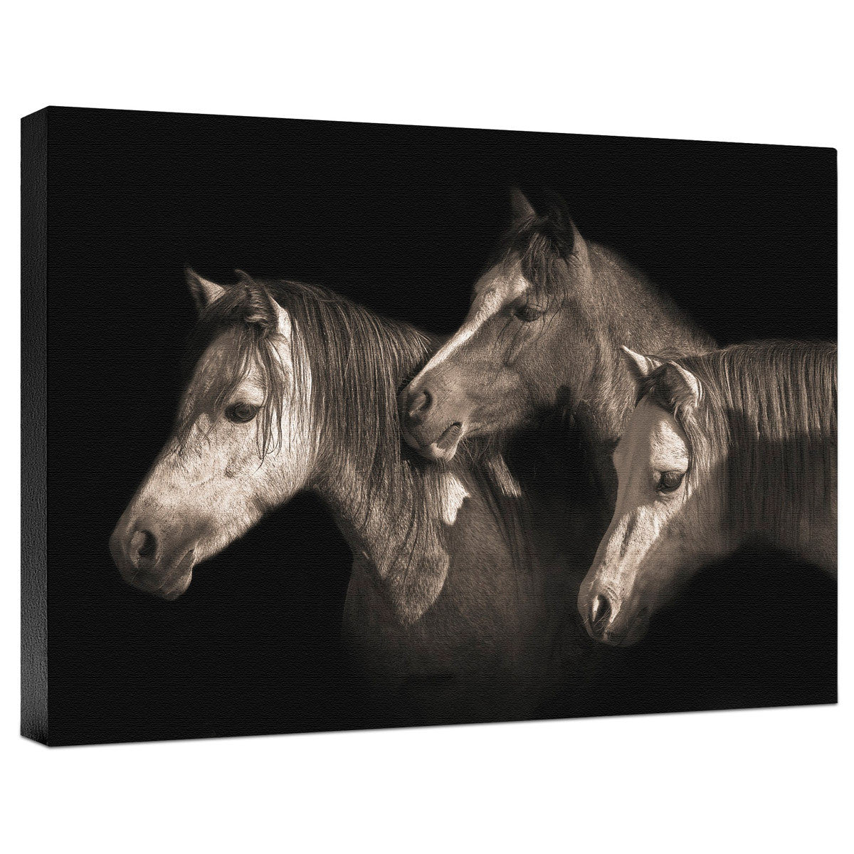 Three Ponies Gallery Wrapped Canvas