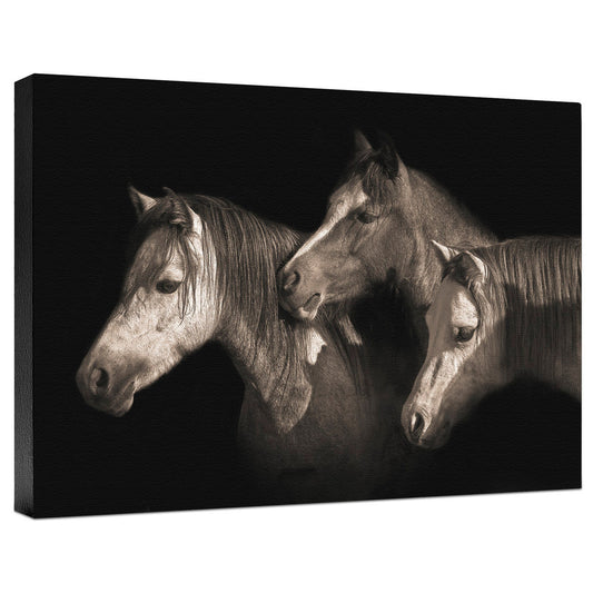 Three Ponies Gallery Wrapped Canvas