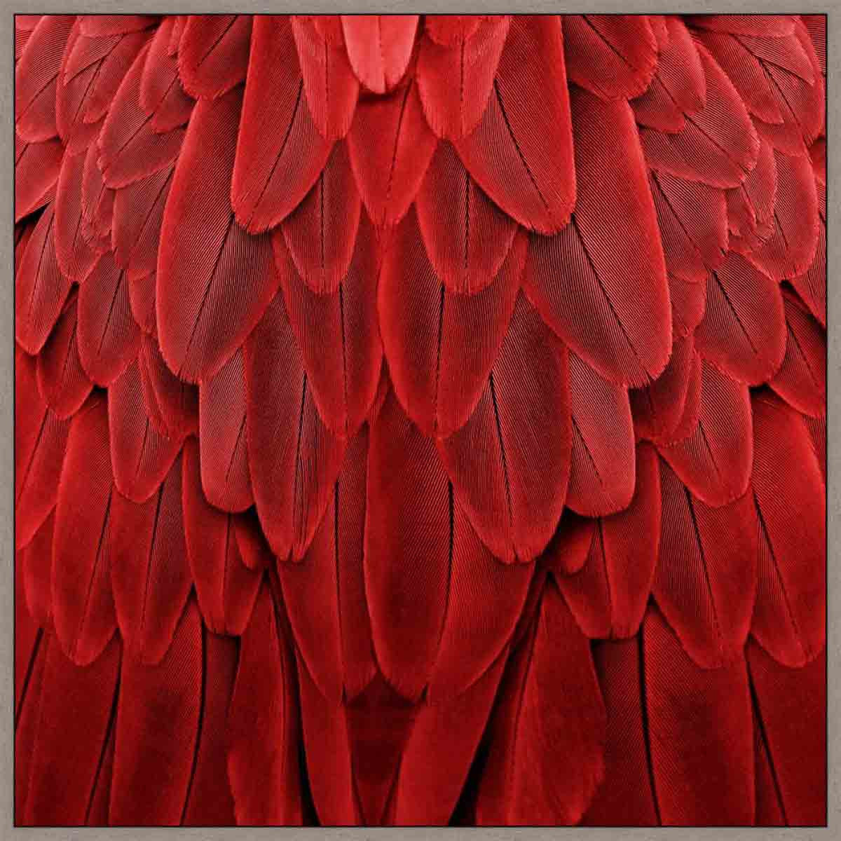 Sonoma Feathers III Wall Art