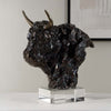 Stony Buffalo Bust