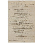 Desert Essence Rug - 8 x 10