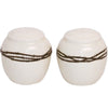 Barbed Wire Salt & Pepper Shaker Set