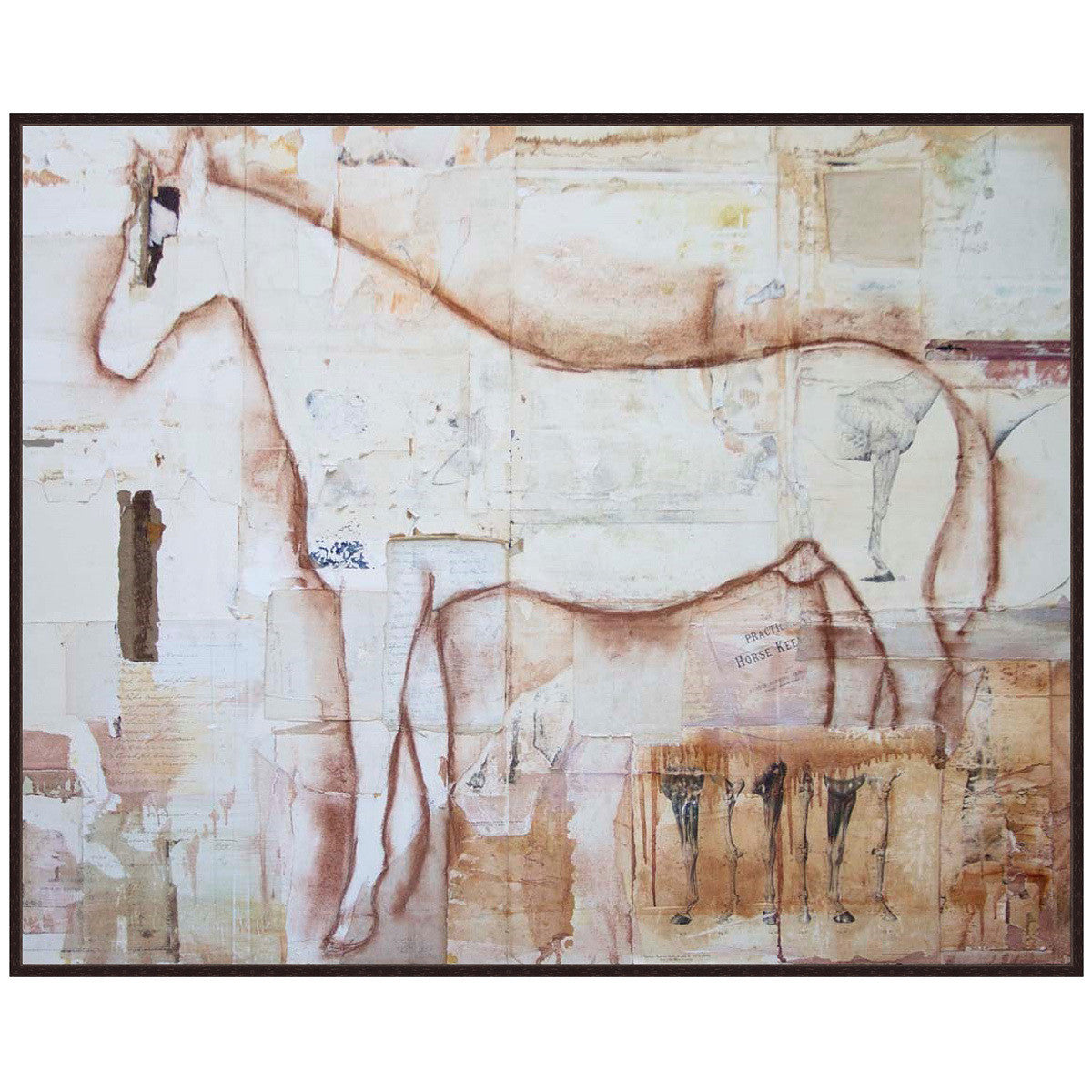 Equine Anatomy Canvas Art