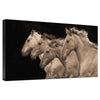Pretty Girls Gallery Wrapped Canvas