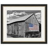 Land of the Free Wall Art